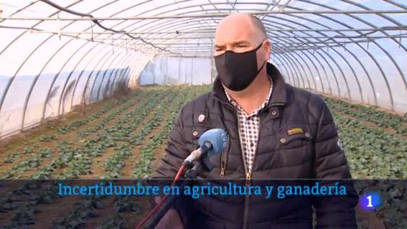 Informativo Telerioja 2 - 25/01/22