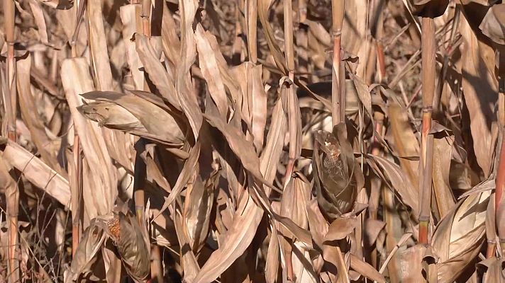Aquí la Tierra - Aquí la Tierra - 25/01/22