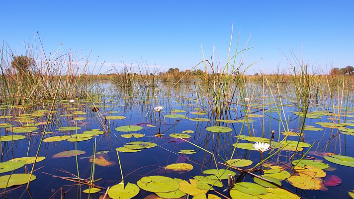 África inmensa - El delta del Okavango