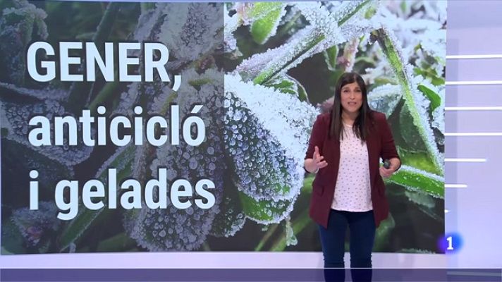 El temps - Gener, anticicló i gelades