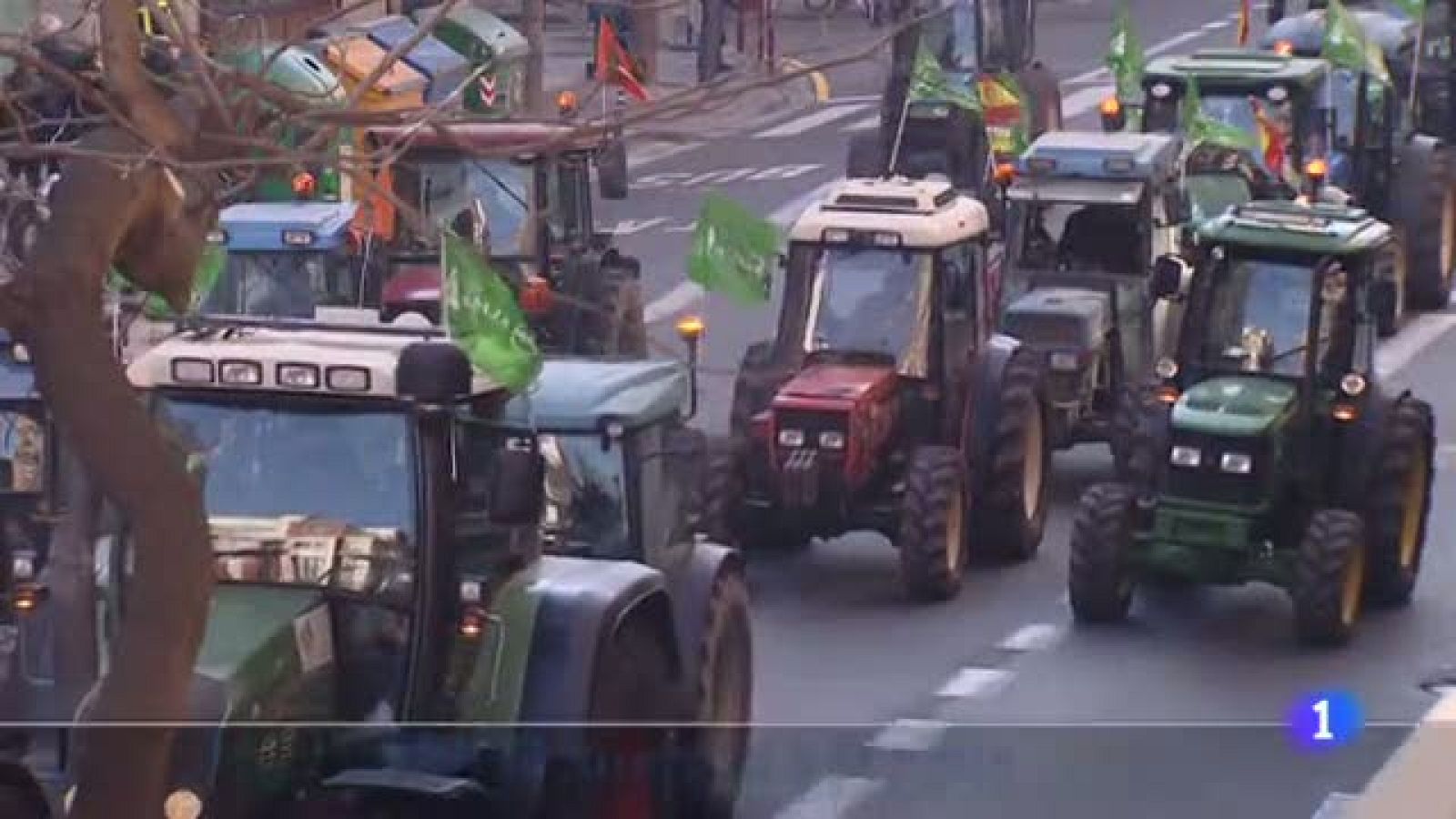 Informativo Telerioja - 26/01/22-Ver ahora