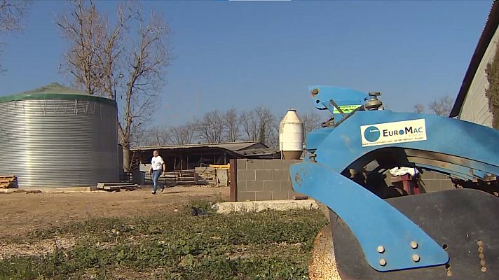 Telediario 1 - Bitcoins renovables: el proyecto de una granja catalana que obtiene energía con los excrementos