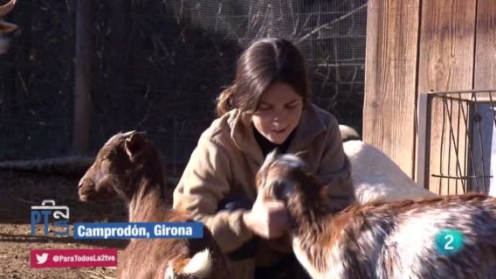 Para todos La 2 - La Fundación Santuario Gaia y el rescate de animales