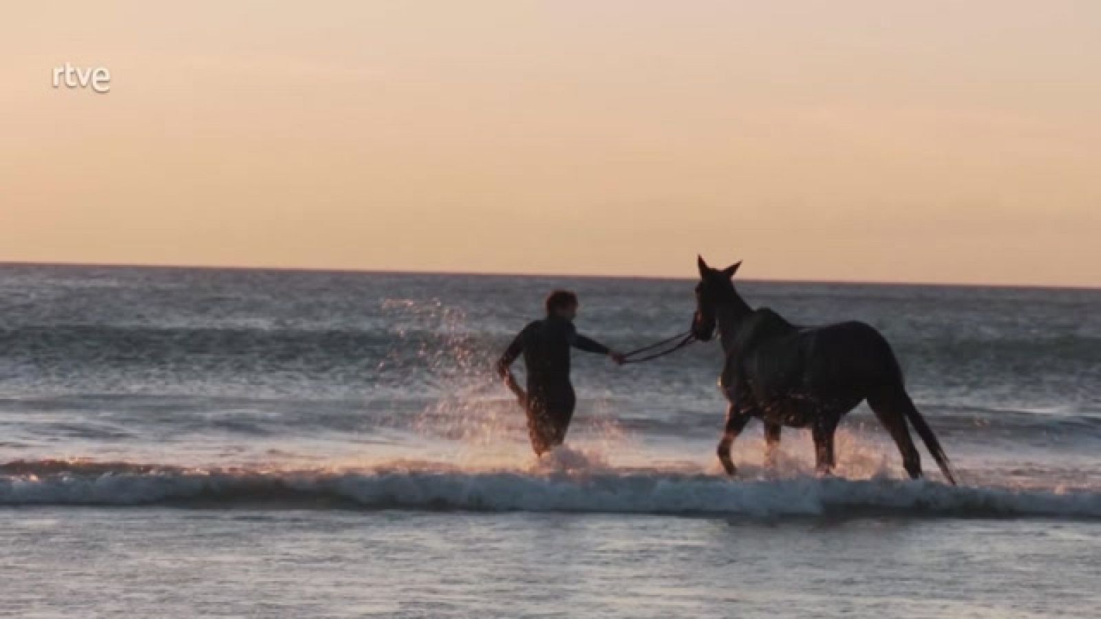 Aquí la Tierra - La fisioterapia equina, mimos para caballos