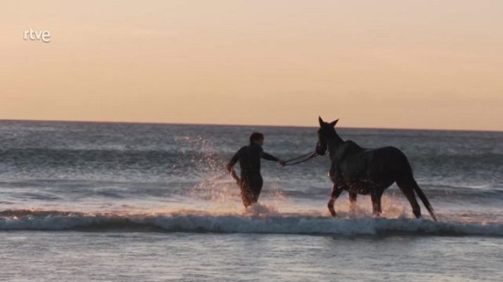 Aquí la Tierra - La fisioterapia equina, mimos para caballos