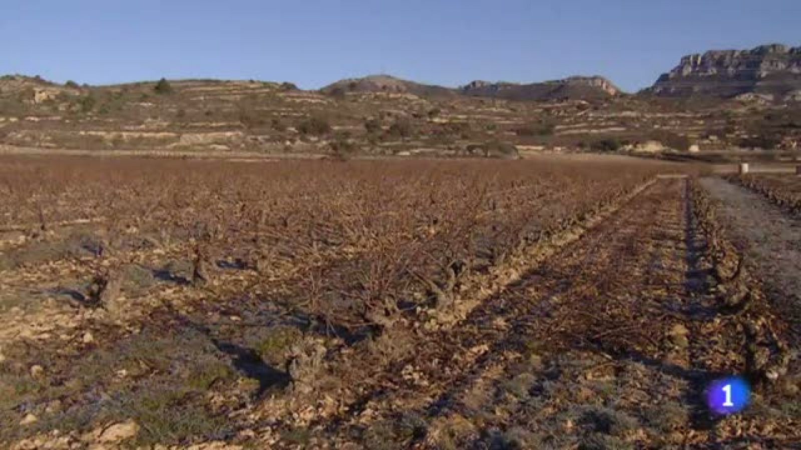 Telerioja en 2' - 27/01/22-Ver ahora