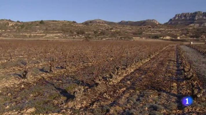 Informativo Telerioja - Telerioja en 2' - 27/01/22