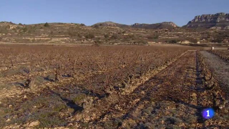 Telerioja en 2' - 27/01/22-Ver ahora