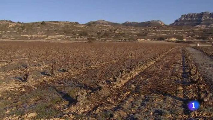 Informativo Telerioja - Informativo Telerioja 2 - 27/01/22