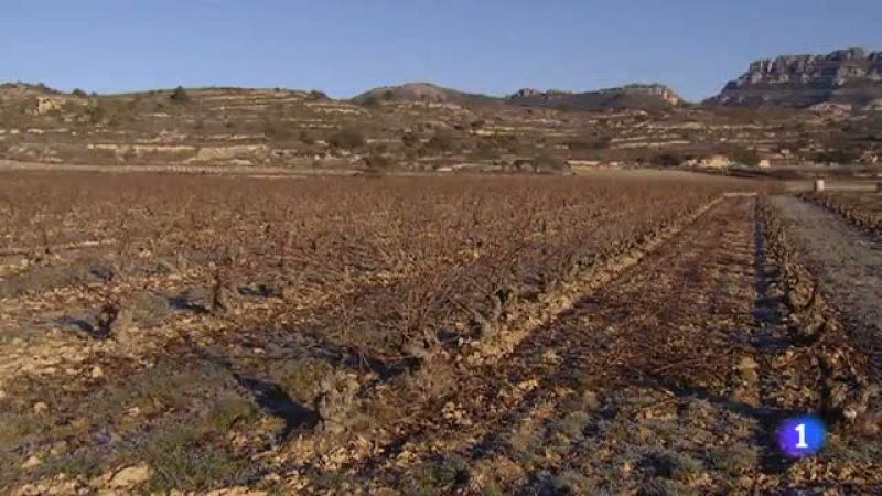 Informativo Telerioja 2 - 27/01/22