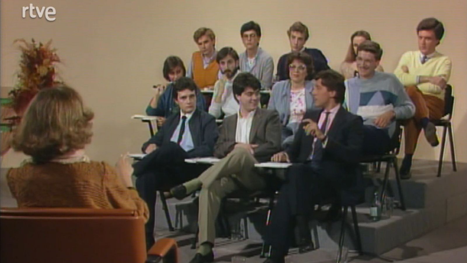 En paralelo los jóvenes - La televisión