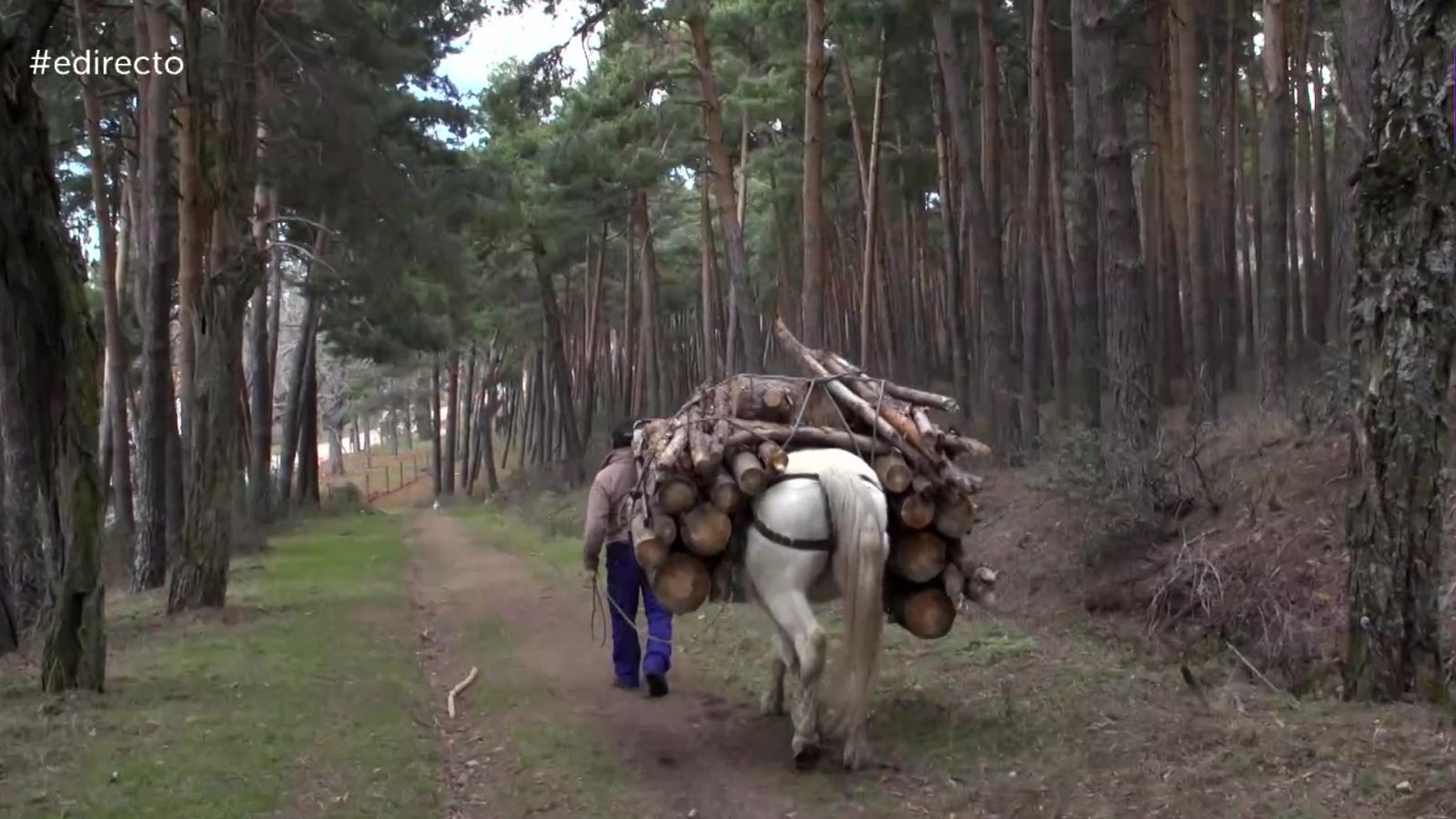 España Directo - 27/01/22 - ver ahora