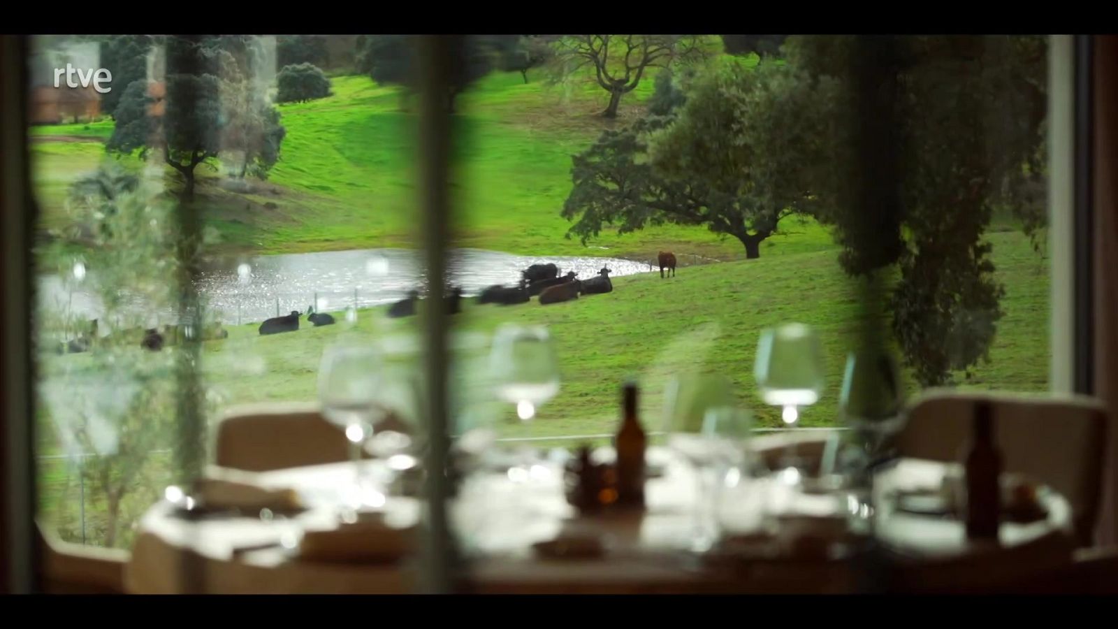 Zoom Tendencias - La dehesa cacereña, un lugar para quedarse - ver ahora