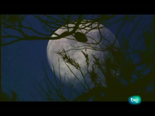 Jara y sedal - Crónica de pesca 2009