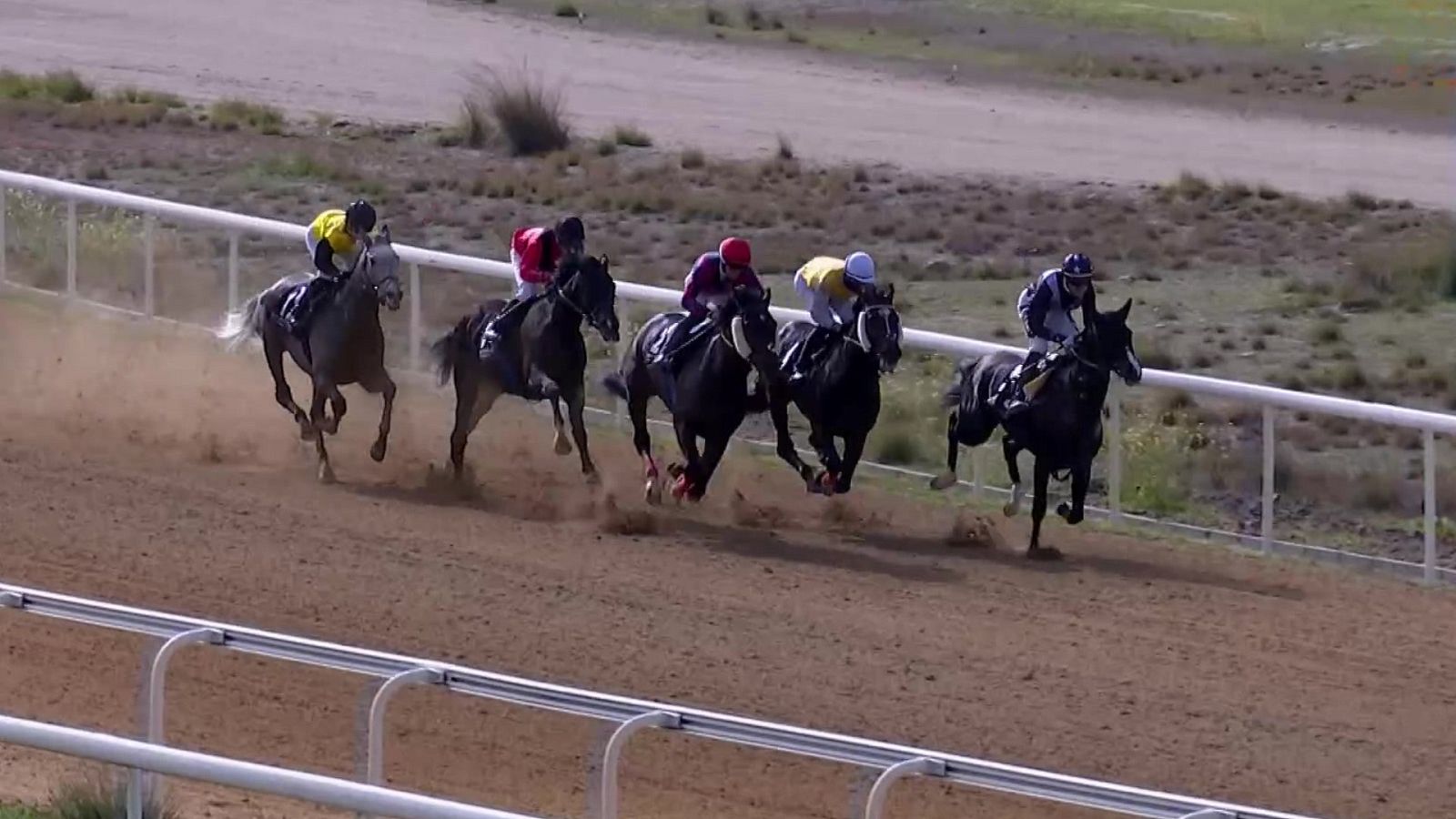 Hípica - Circuito nacional de carreras de caballos. Hipódromo de Dos Hermanas - ver ahora