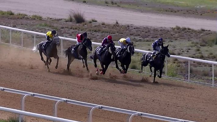 Hípica - Carreras de caballos. Hipódromo de Dos Hermanas