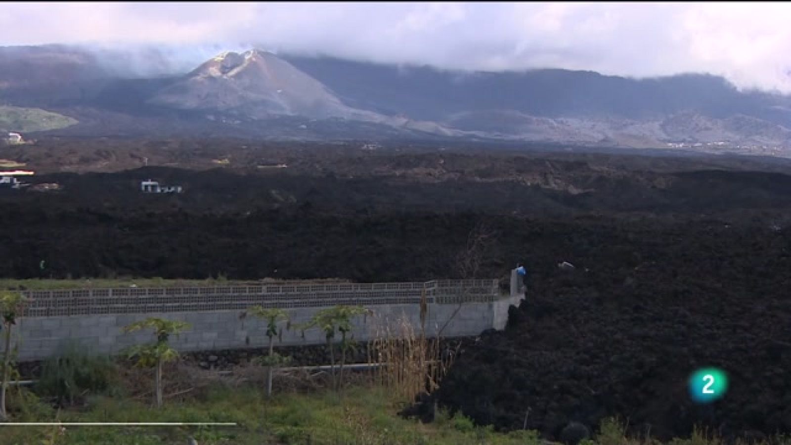 Telecanarias 2 - 31/01/2022 | Ver