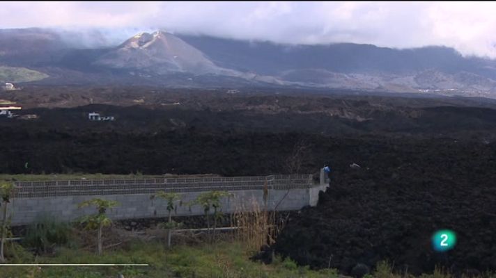 Telecanarias - Telecanarias 2 - 31/01/2022