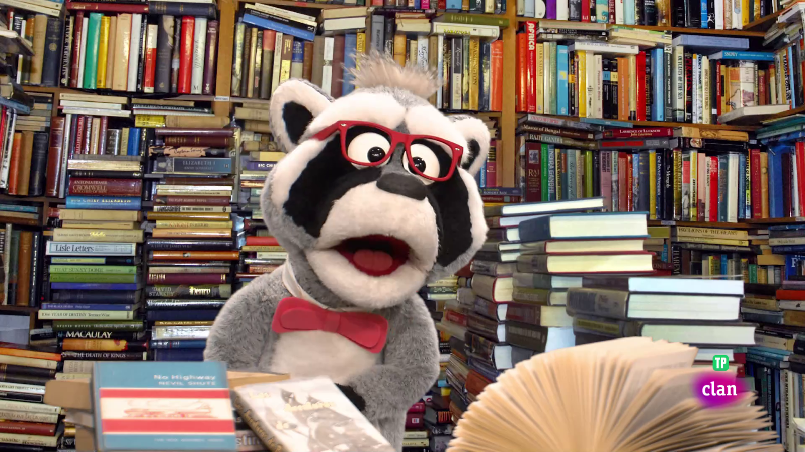 'Está mapachando' - El rap de los libros y más - Aprendemos en Clan | Ver