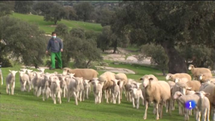 Noticias Andalucía - Ya se pueden pedir las ayudas PAC