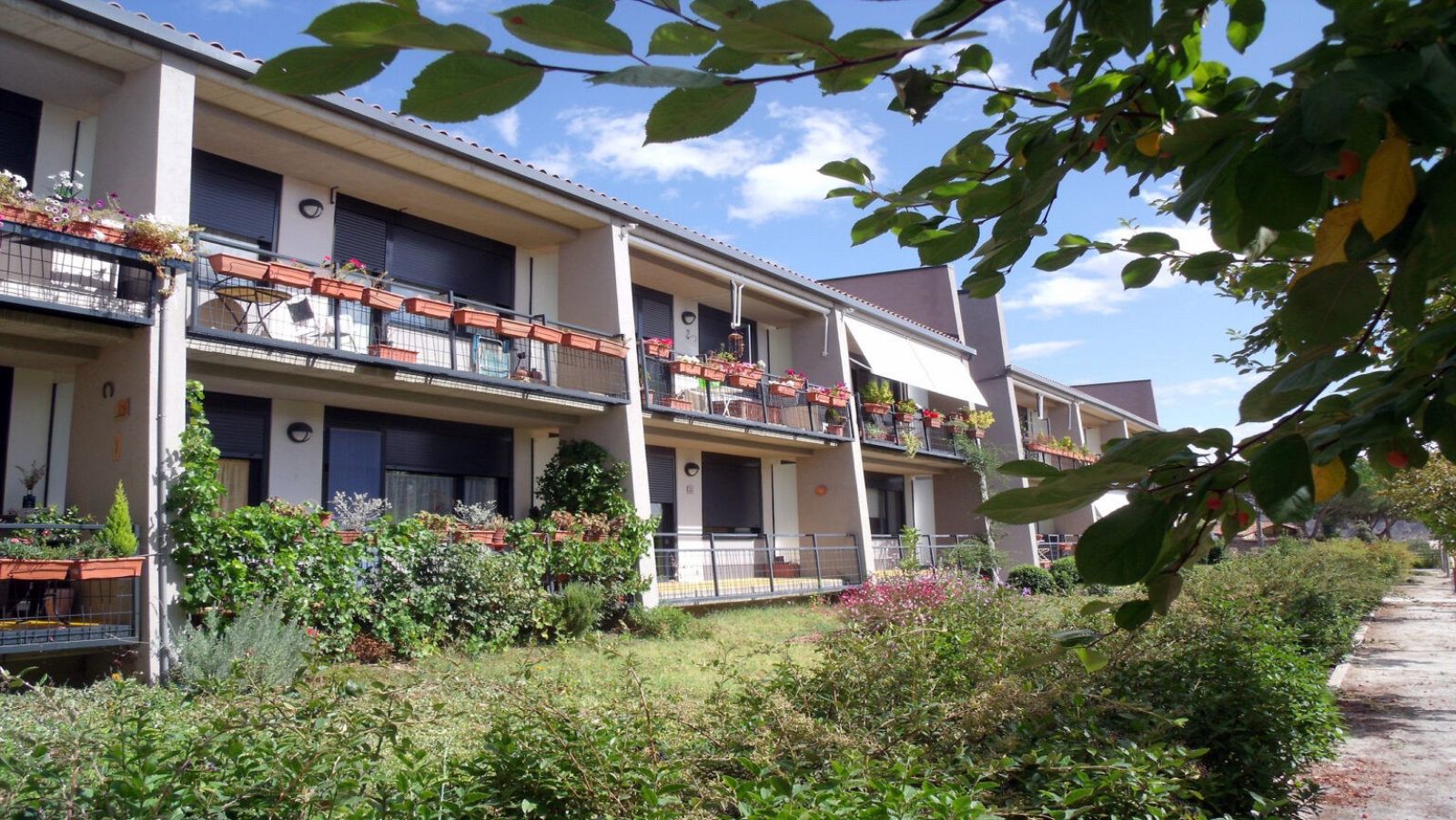 Covivienda: el modelo que quiere fomentar el Gobierno | Ver