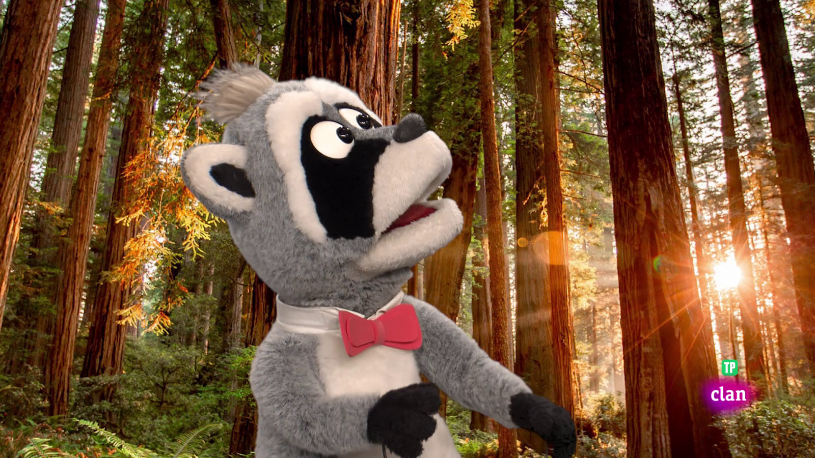 ¡Secuoya! - Aprendemos en Clan | Ver