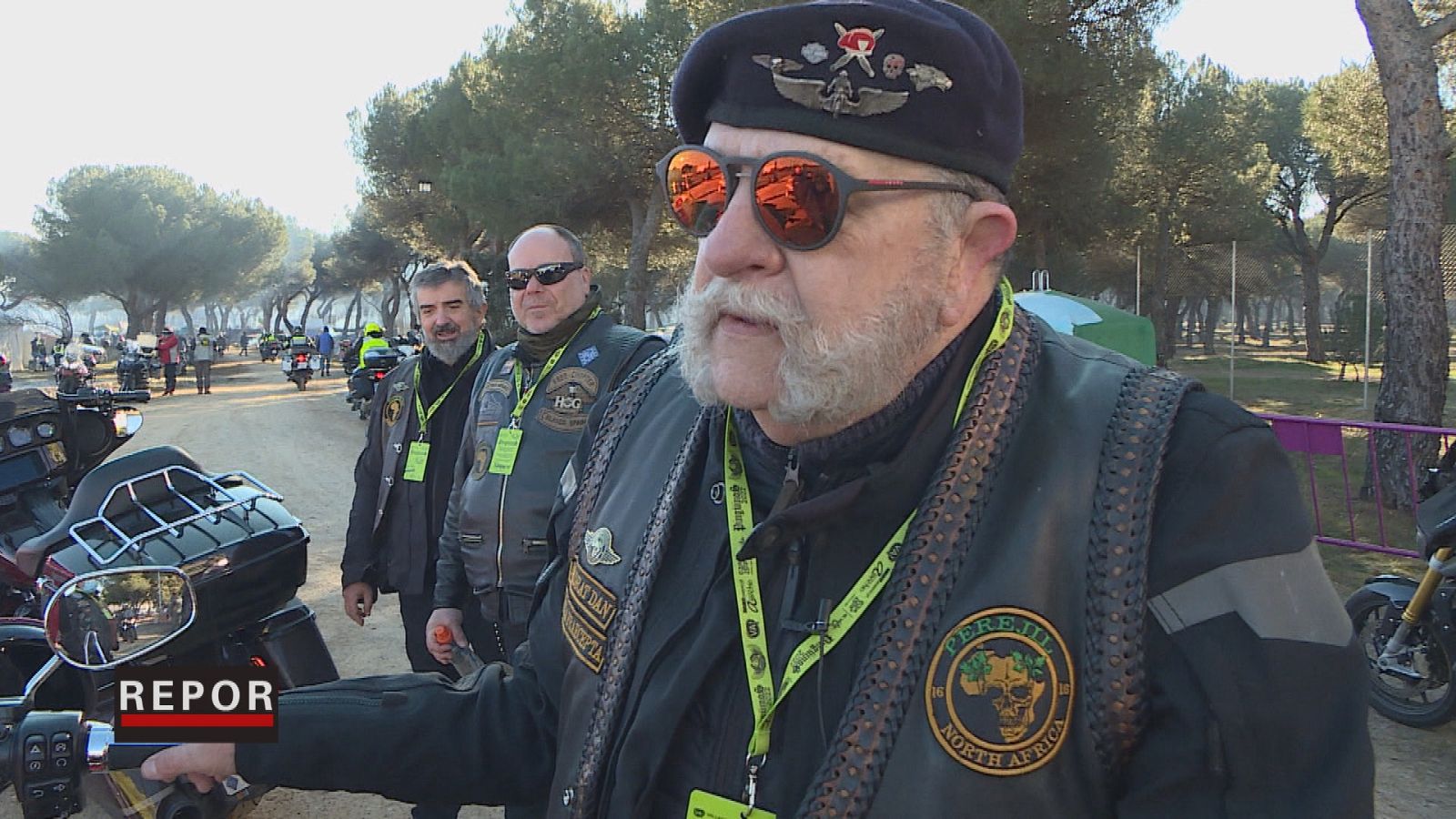 Repor - El cumpleaños de los pingüinos - ver ahora