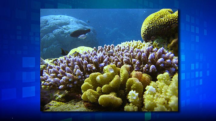 Saber y ganar - Saber y ganar. Edición de fin de semana - 05/02/22