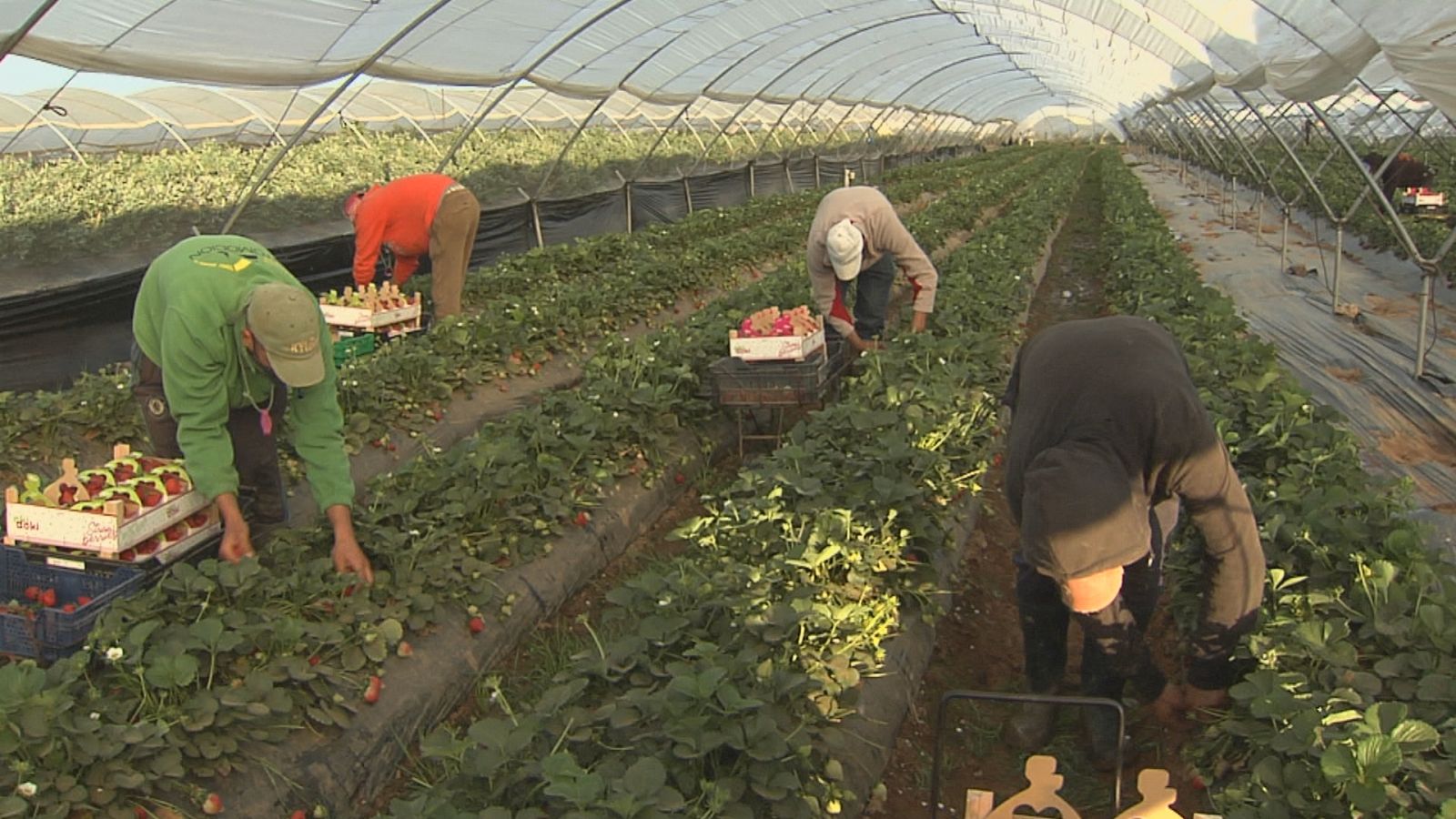 Polémica por la proposición de ley - Escuchar ahora