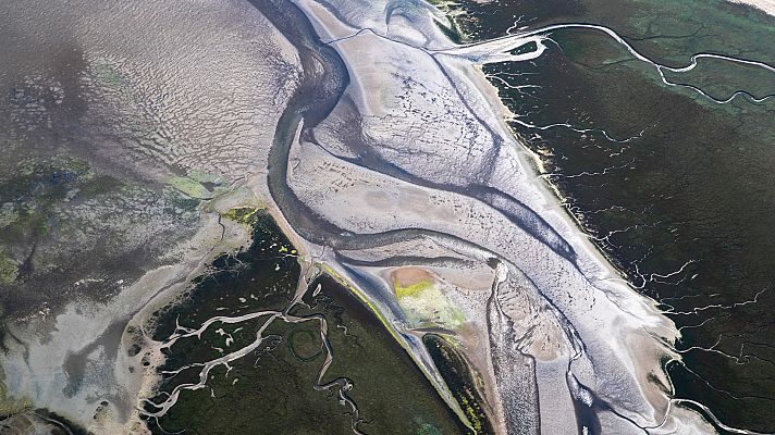 El mar de Frisia - El origen de la vida