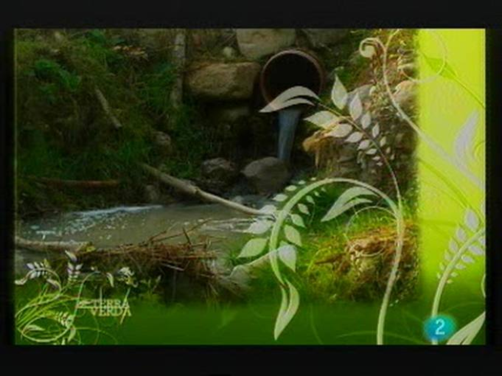 Terra Verda: Els rius més nets