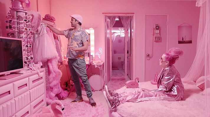 Somos Documentales - The mystery of the Pink Flamingos