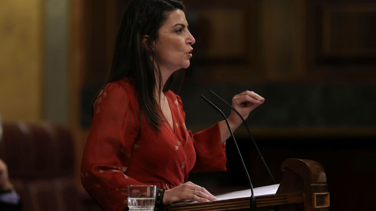 Vox anuncia que si se contabiliza el 'sí' acudirán al TC - Informativo 24h | Ver