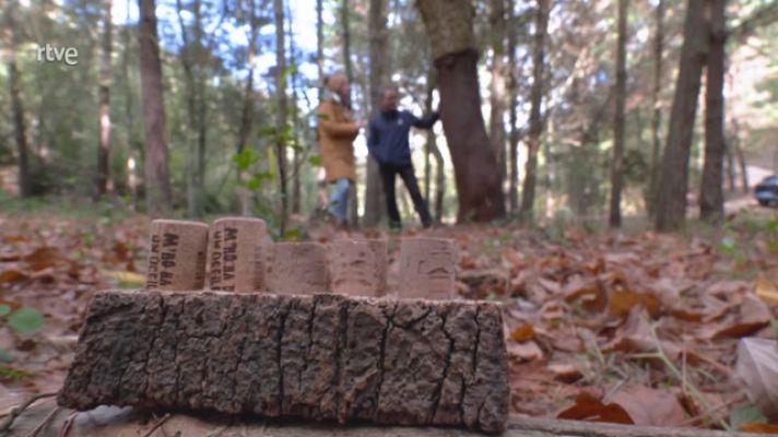 Aquí la Tierra - Los tipos y usos de la madera