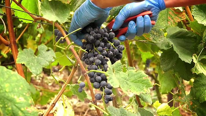 Universo UNED - UNED - 04/02/22