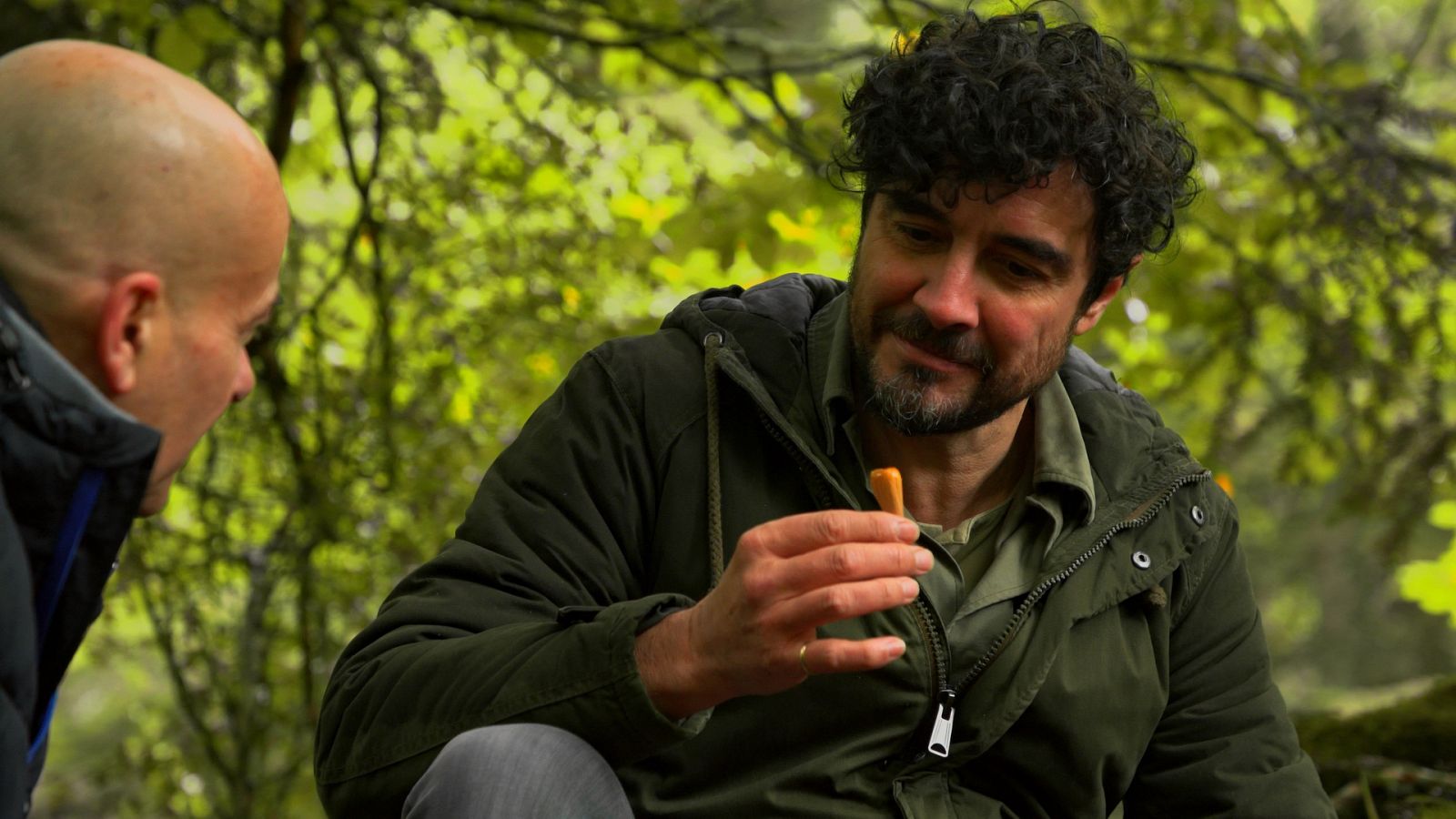 El señor de los bosques - Selva de Oza (Huesca) - ver ahora