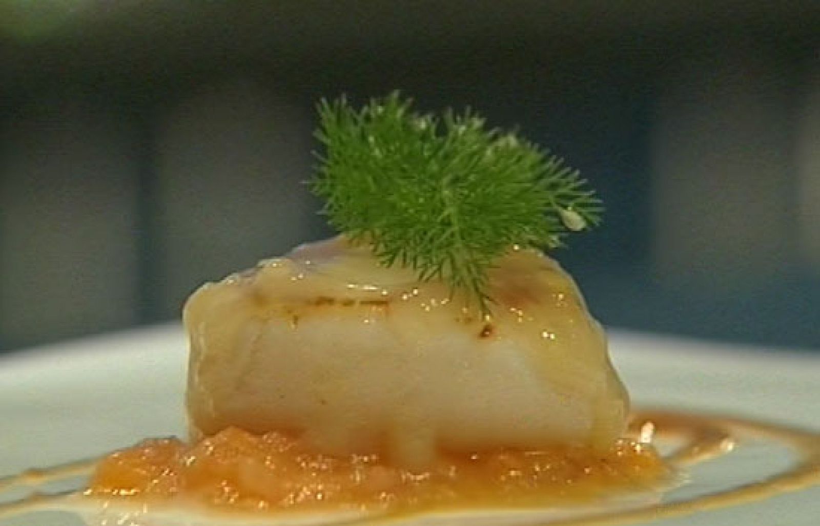 Comienza San Sebatián Gastronómica el congreso de gastronomía más ambicioso nunca celebrado en España | Ver