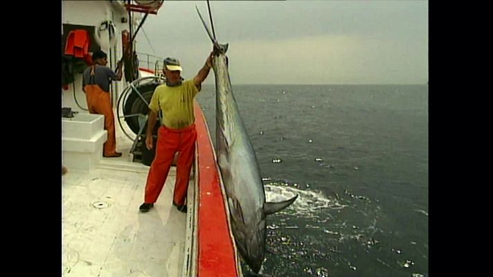 Jara y sedal - Mano a mano