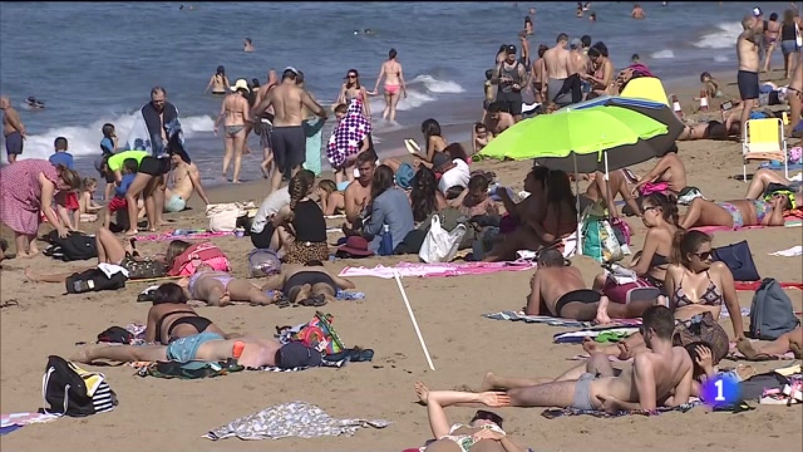 Canarias en 2' - 05/02/2022