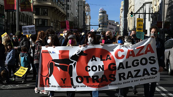 Telediario Fin de Semana - Asociaciones animalistas protestan en contra de la caza