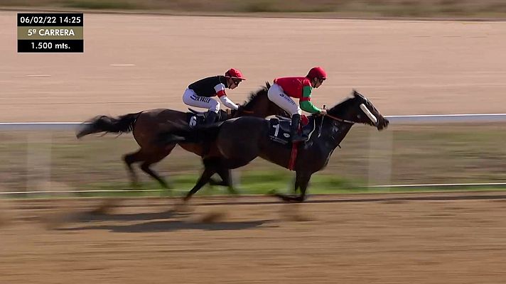 Hípica - Circuito nacional carreras de caballos (Hip.Dos Hermanas)