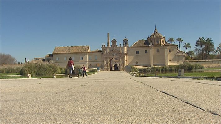 Noticias Andalucía - Nueva temporada en el CAAC