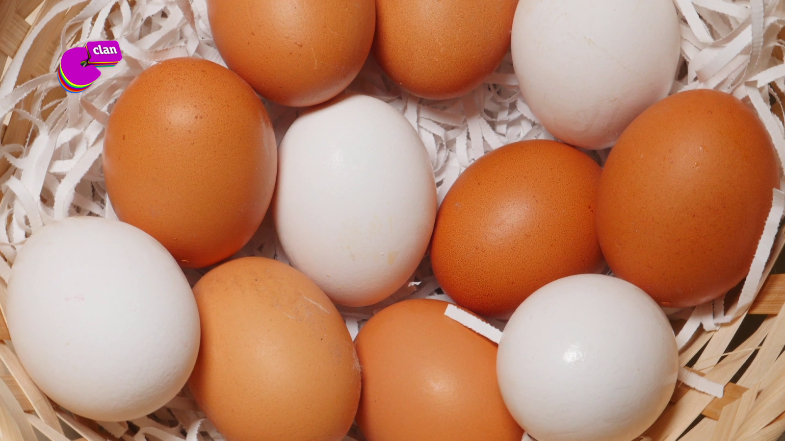 CAMPAÑA 'ALIMENTACIÓN SALUDABLE' - ¿Por qué hay huevos blancos y huevos morenos? - El mes de... | Ver