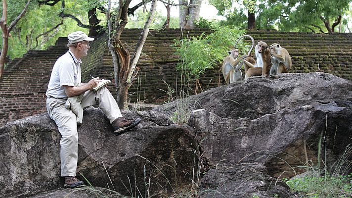 Somos Documentales - Una vida entre monos