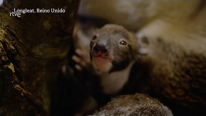 Aquí la Tierra - Aquí la Tierra - 07/02/22
