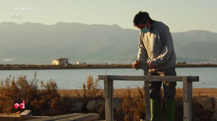 España Directo - Joyas gastronómicas del Delta del Ebro