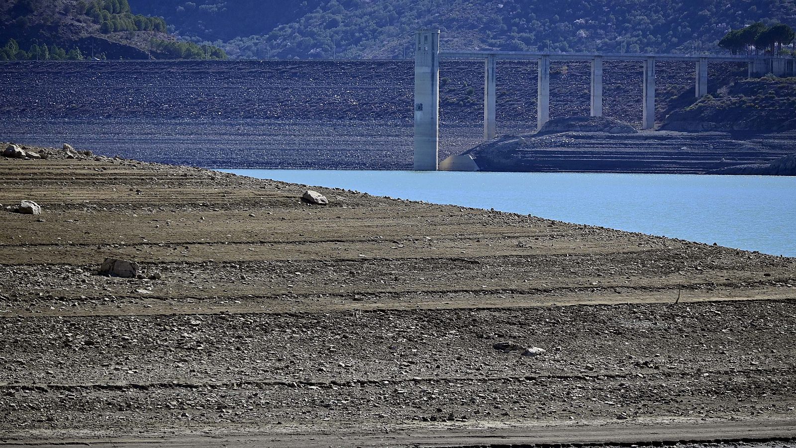 La cuenca del Guadalquivir, en estado crítico | Ver