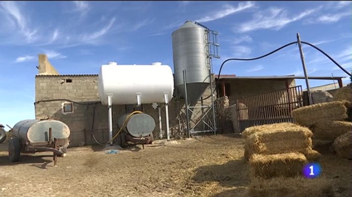 Noticias Andalucía - Situación límite por sequía en el campo andaluz