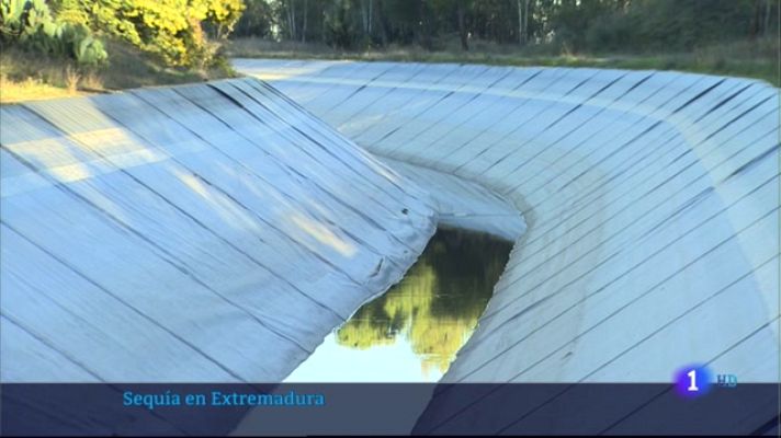 Noticias de Extremadura - Sequía en Extremadura