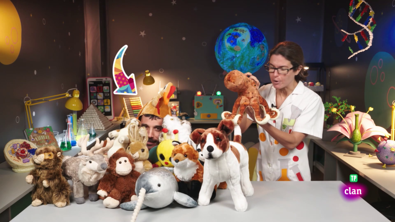 RETO - Mimet�zate como un pulpo - Aprendemos en Clan | Ver